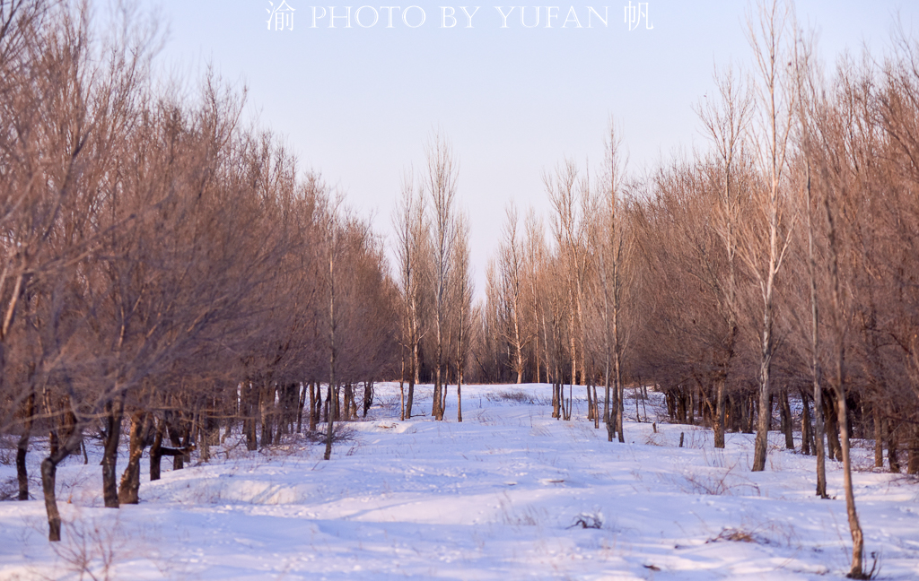 新疆托里老风口，昔日被誉夺命口，如今变成新绿洲