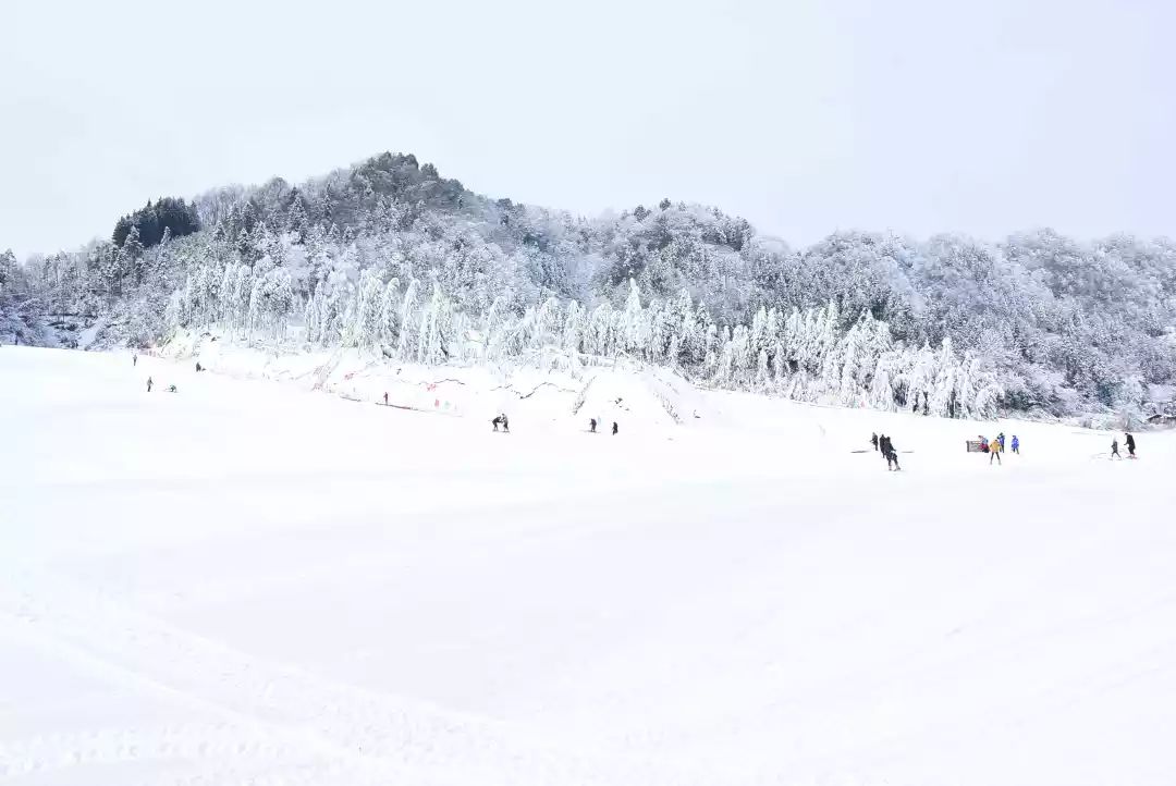 石柱冷水国际滑雪场开启造雪时间,免费耍雪啦