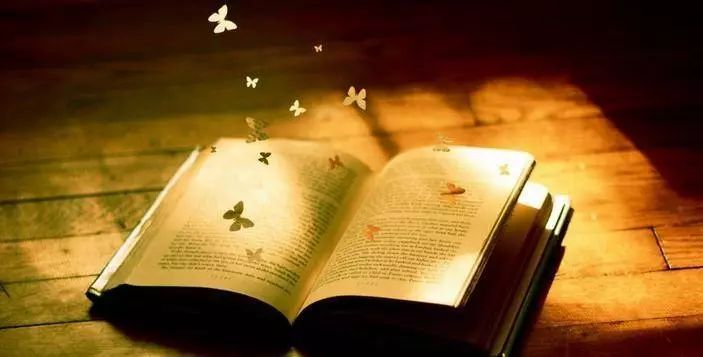 梦境中的悲喜交织,再失至亲与神秘失窃的肾 梦境中的悲喜交织,再失至亲与神秘失窃的肾