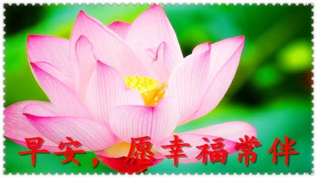 四朵花三朵红色一朵粉色猜成语_看图猜成语