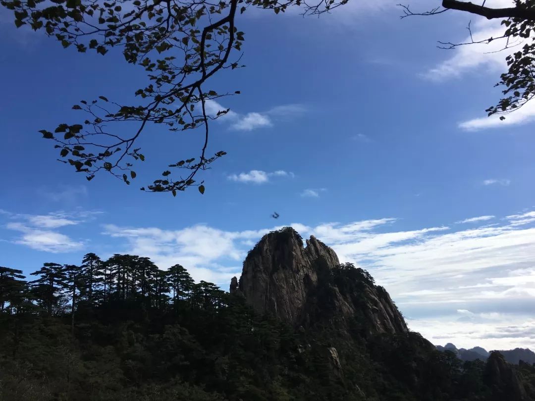 金鸡叫天都 | 万物皆有灵,好景在人间