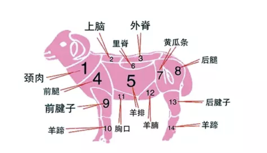 食话食说|冬季餐桌上羊肉最“受宠”！多煮炖、少烤炸更健康