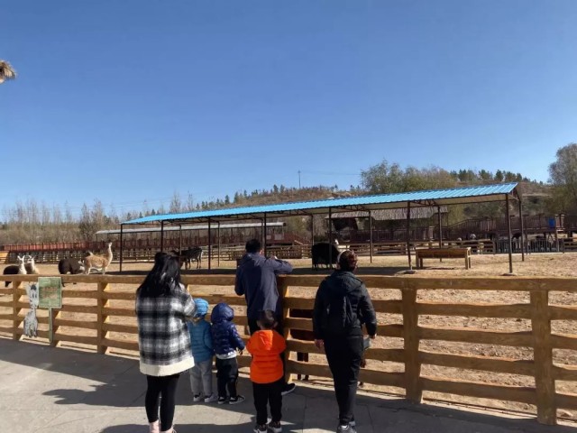 鄂尔多斯是什么时候发展起来的 44568be3a1bc4b5cb700bf320e8e1d4e.jpeg