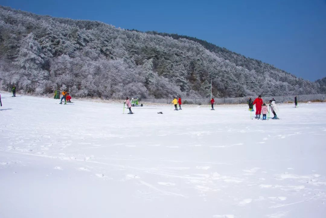 周边玩点:浙东第一尖景区,宁海森林温泉    丽水遂昌北斗崖滑雪场