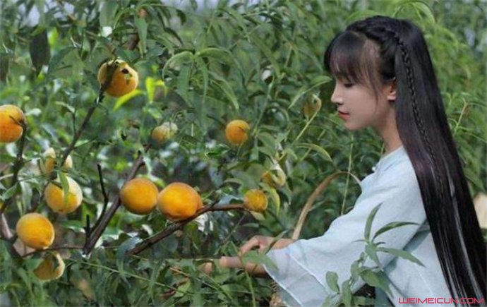 李子柒:你凭什么火遍全球?