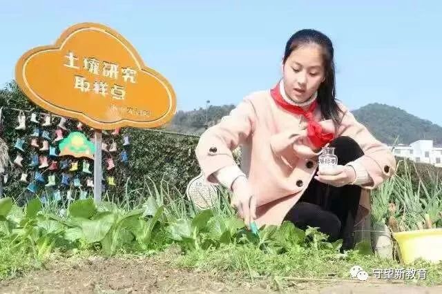 文章配图-11