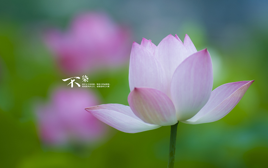 什么叫做人生的贵人 6d2eb94c3c394a23bceeb3cdcee0f68a.png