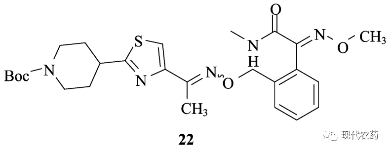 含噻唑环的衍生物结构多样,同时具有广泛的生物活性,如抗癌,抗病毒