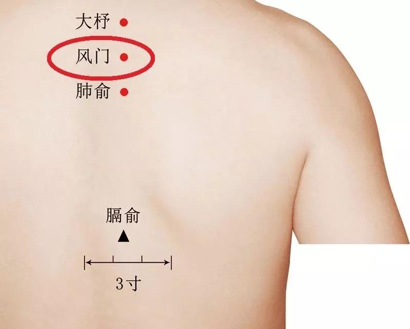 4,肺俞肺俞穴是肺脏之气出于背部之所,还是主宰全身在表之卫气,固护