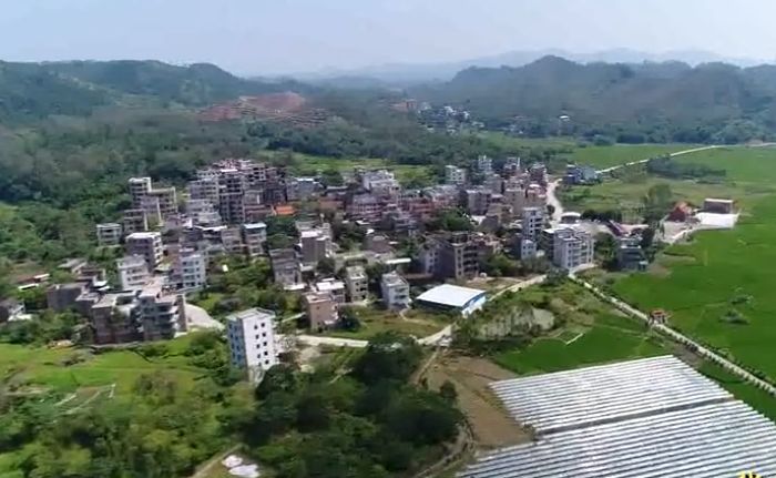 全国乡村治理示范村候选名单(茂名市)茂名市茂南区新坡镇车田村茂名市