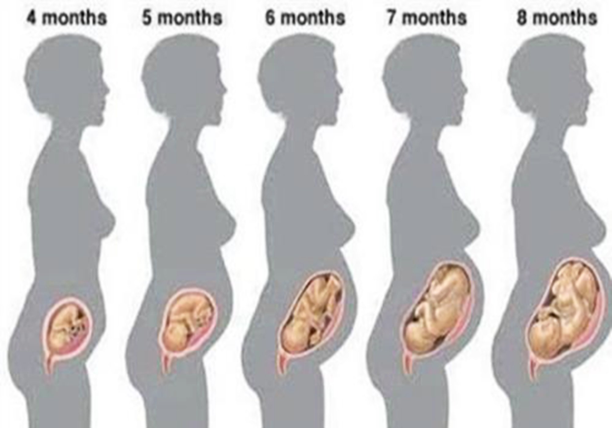 怀孕前期注意事项