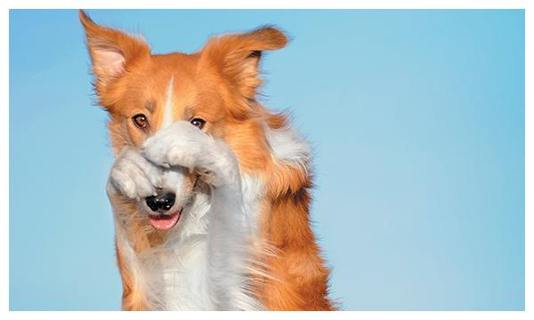 93590a836501485f9b72c8006ee8d504.jpeg
