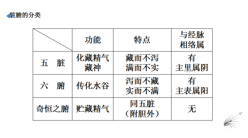 姿华教育事业部中医文化的基本思想藏象