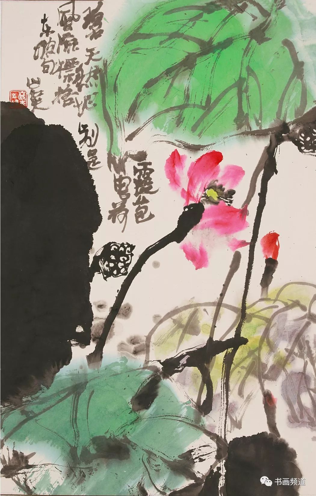 当代美术家作品集踪岩夫》,《踪岩夫大写意花鸟画》及多种专业教材
