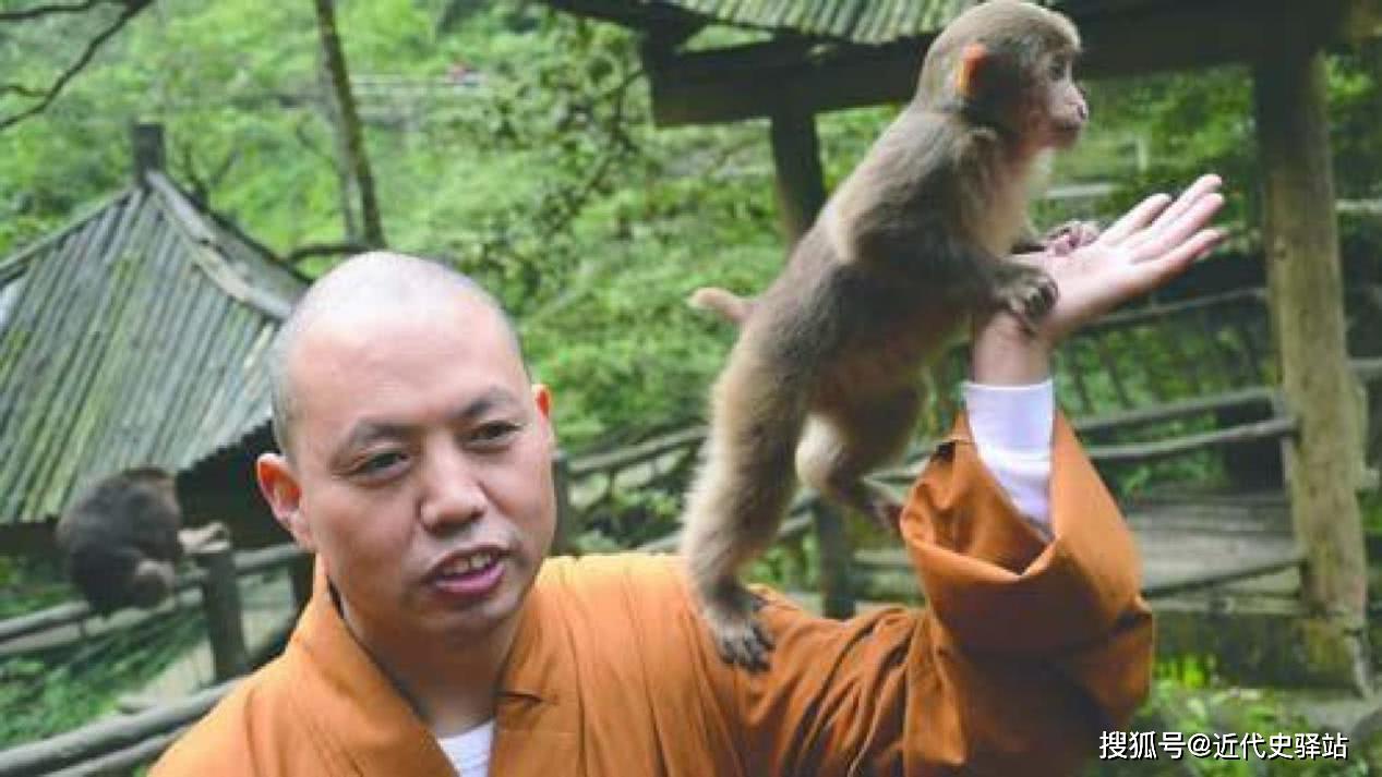 原创峨眉山猴王给老蒋让道,大家疑惑不解,老僧却道破"玄机"