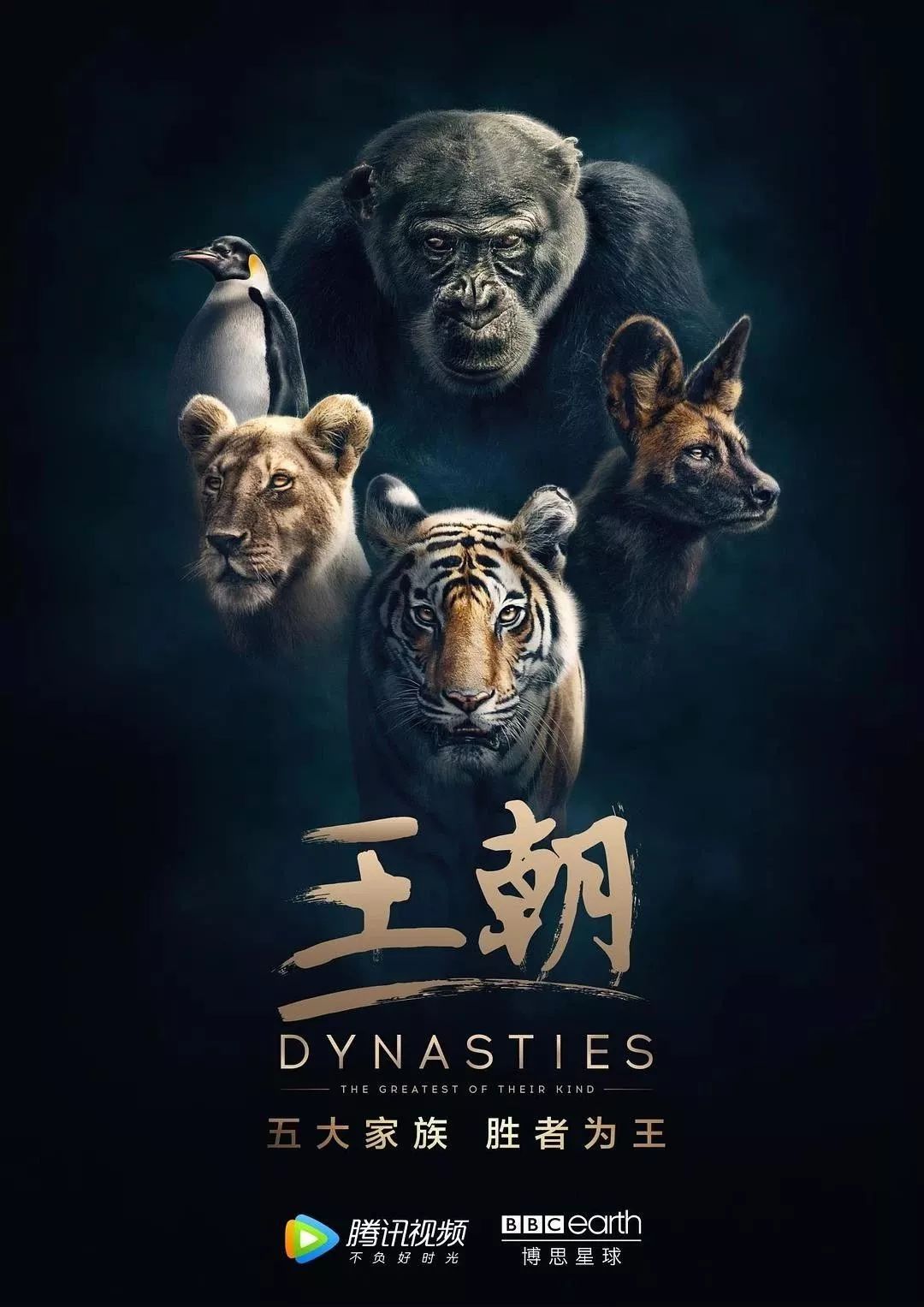 呈现多重主体化视角 《七个世界，一个星球》探寻自然世界奥秘