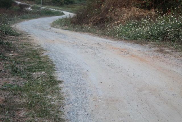 电白区树仔镇清茶村委陂陇村村民盼修硬底化村路