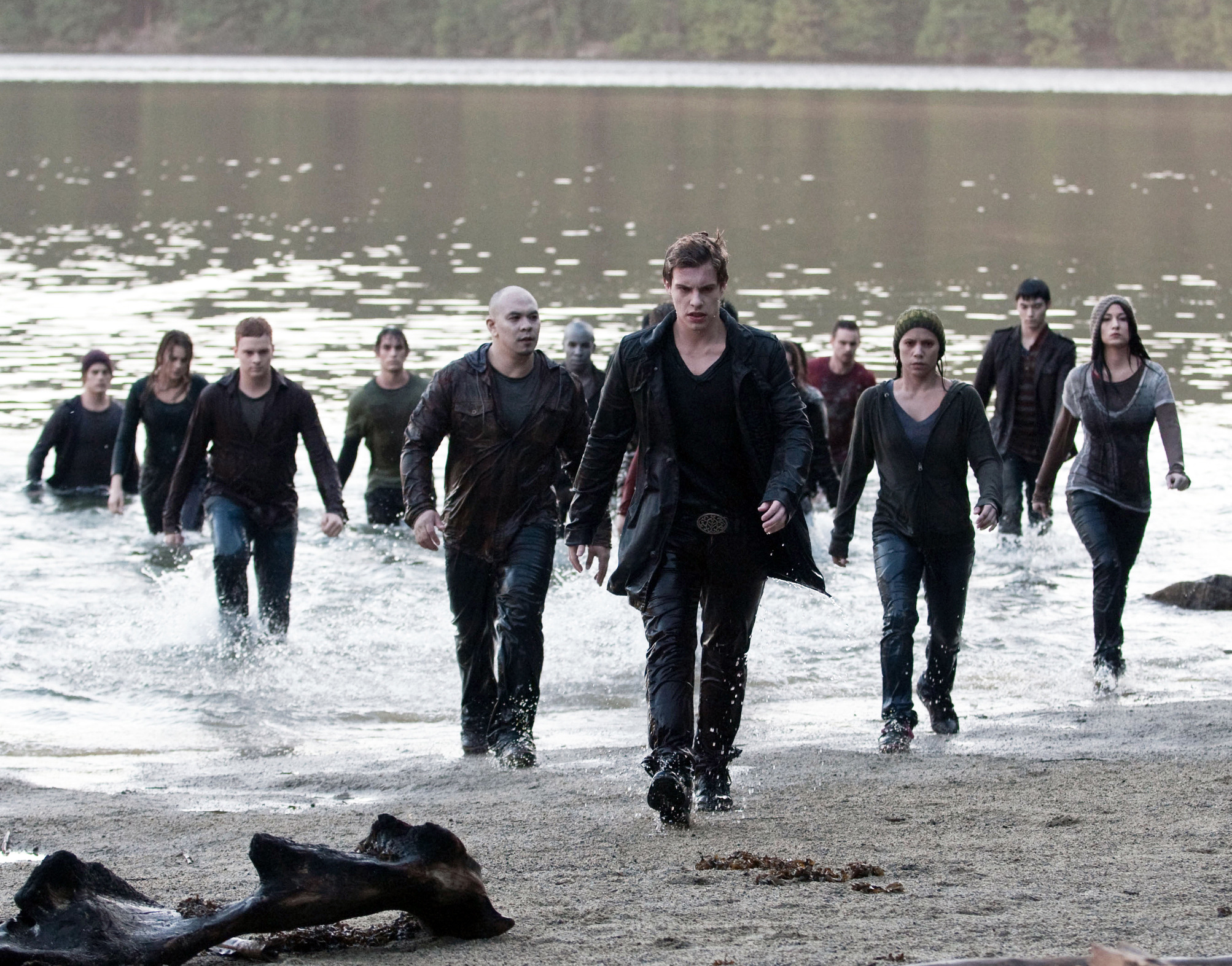 暮光之城4:破晓(下) the twilight saga: breaking dawn - part 2