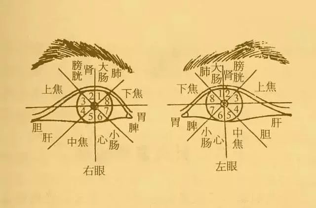 彭氏眼针继承人田维柱教授坐诊海韵健康