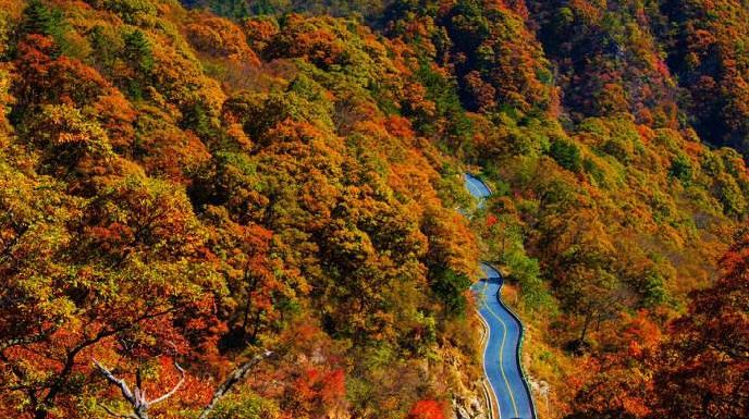 "驾游安徽"十条精品线路发布,江淮分水岭风景道上榜!