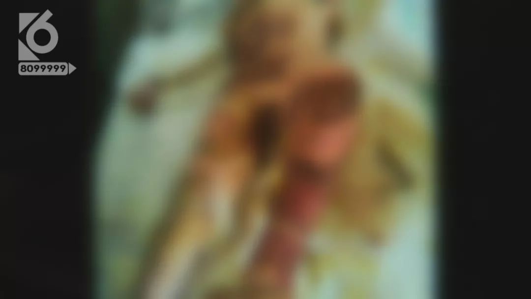 e98cd4c0b6204b95a569d9572672fb63.jpeg