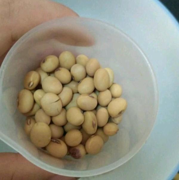 半斤黄豆多少水 ec35105611b44d19b0dad266c1ab785f.jpeg