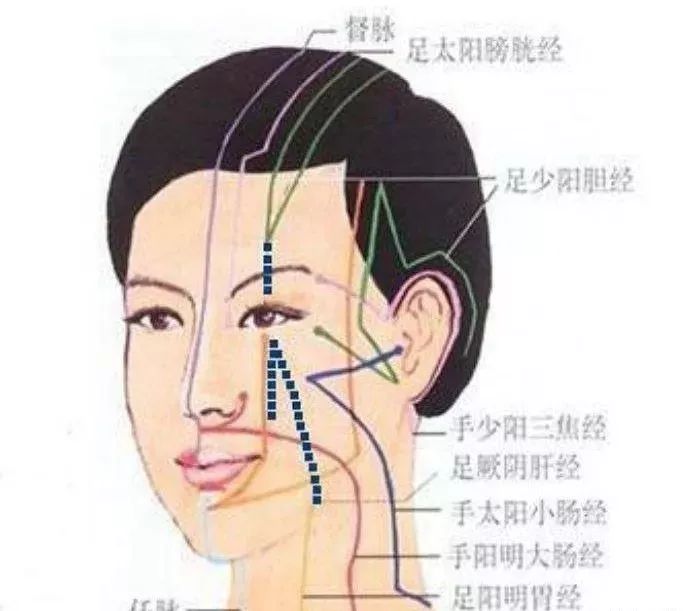 这就要从面部经络来说了,循行面部的经络一共有9条—任脉,督脉,大肠