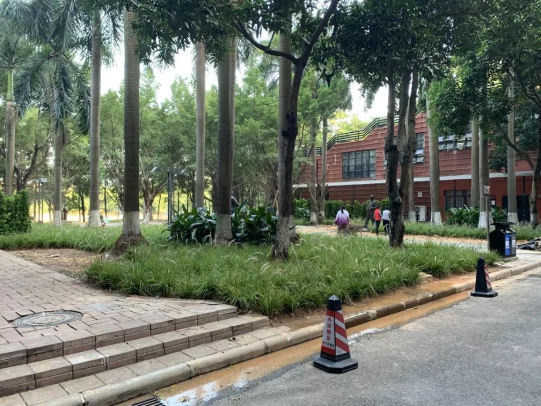 工作坊 | 广州美术学院大学城校区风景园林实验