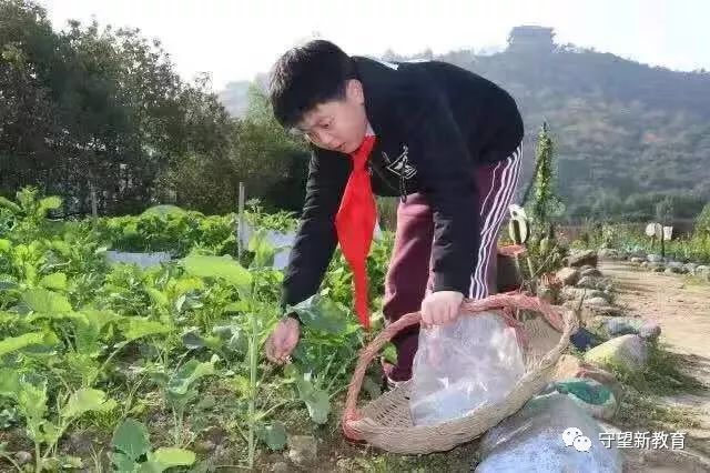 文章配图-10