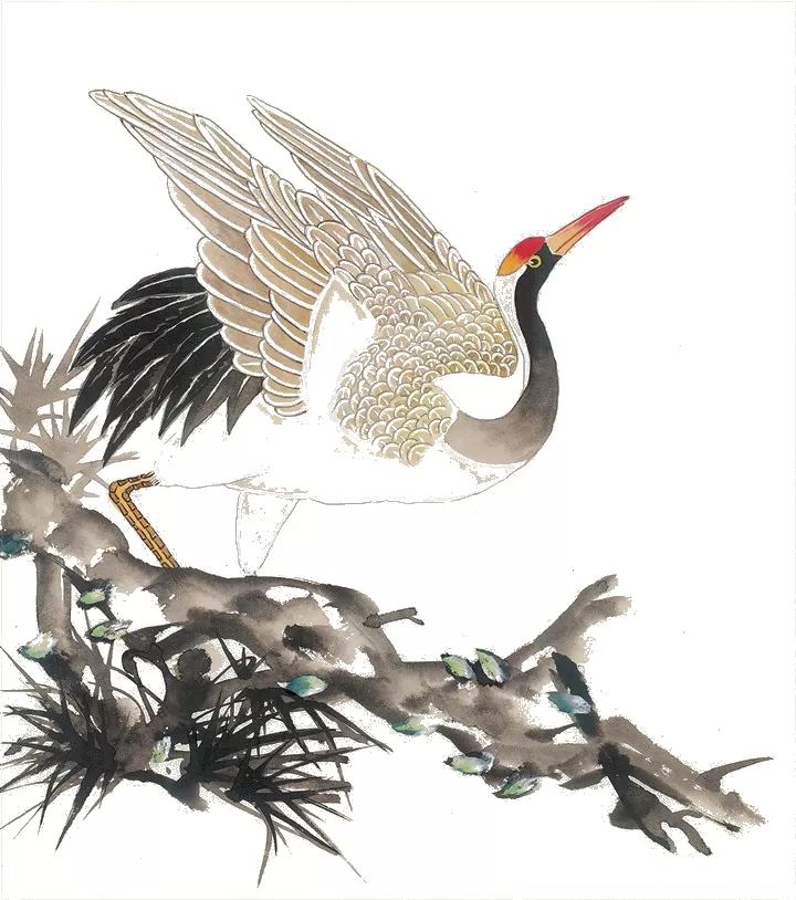 一群鸡一只仙鹤猜一成语_仙鹤简笔画(2)