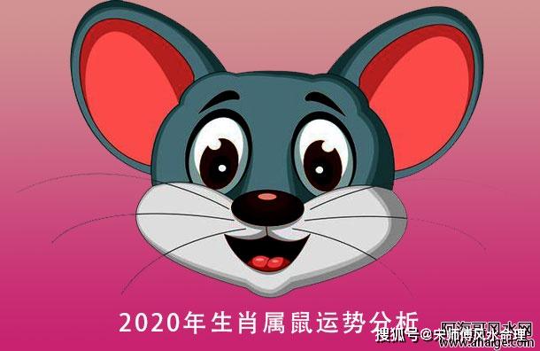 原创2020年十二生肖属鼠之人运势分析