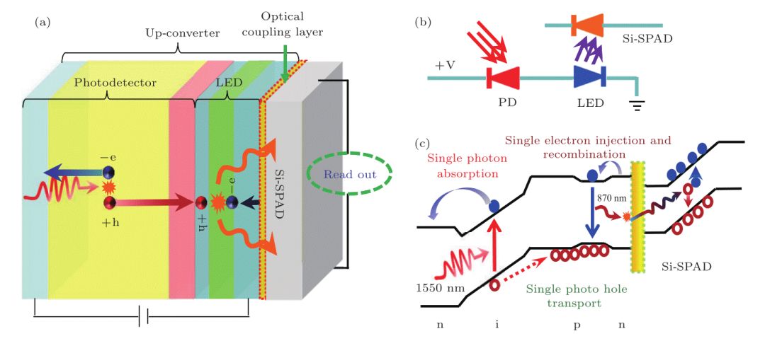 半导体上转换单光子探测技术研究进展