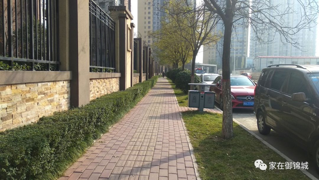 人行道绿化被踩秃,御锦城业主盼优化