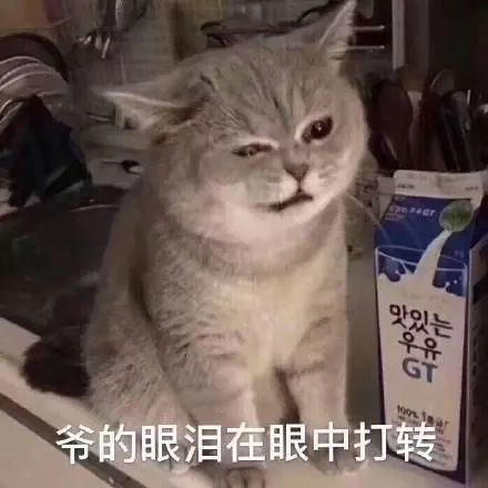 1c6df2cad1634f8f9224b53db1675d0b.jpeg
