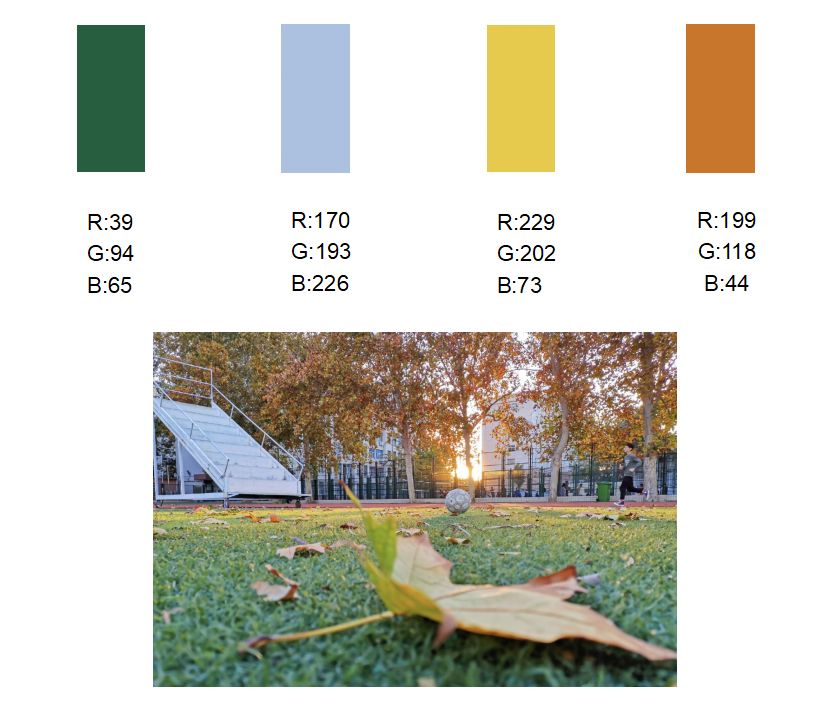 就在前方 这是我们农大学子挥洒汗水的"战场" 体育馆  蔚蓝天下展青春