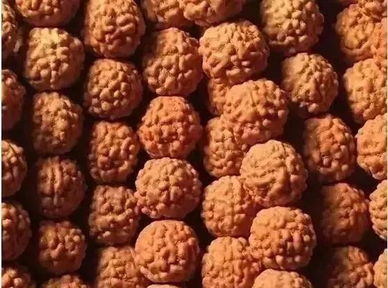 为什么叫佛手小金刚 3335d5c53c5a4b25b4342690df66852c.jpeg