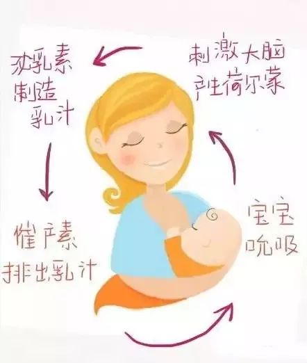 母乳喂养 生命之源——母乳喂养指导