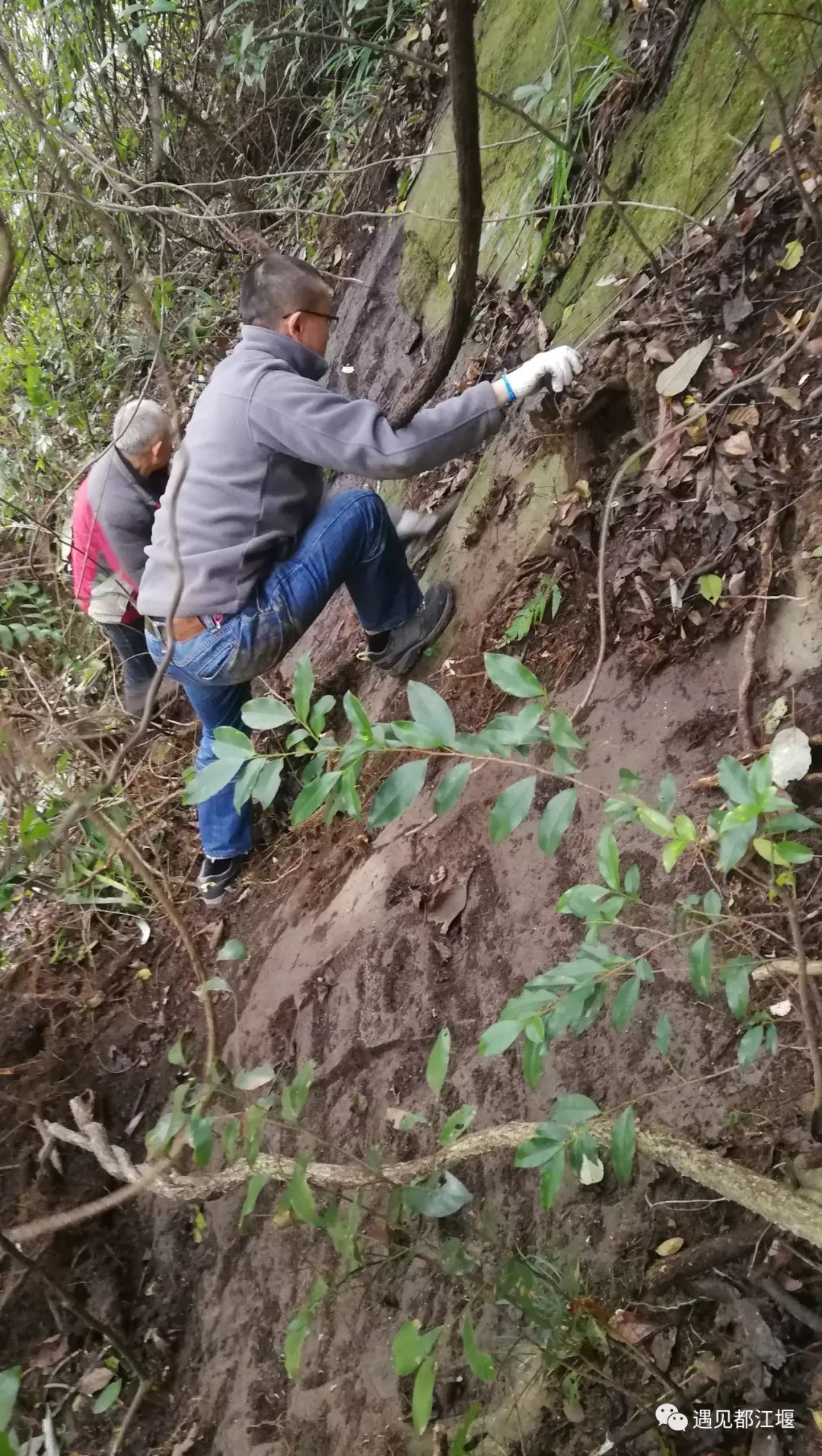 关注 | 灵岩山现“灵岩”摩崖石刻