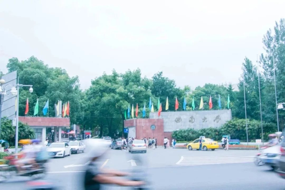 我走过最长的路,是西南大学的"套路"