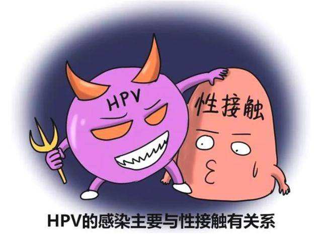 如何分辨"hpv"病毒?有了这种3症状,则要提高警惕哟!