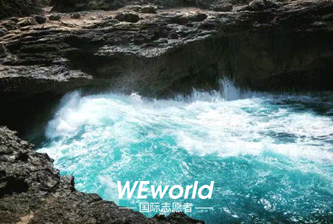 480_323gif 动态图 动图