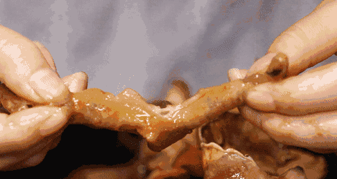 57bb4865694646afb397fff0be8c1cb8.gif