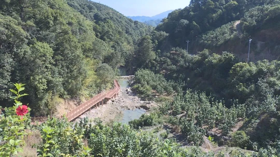 平和这个村大变样!和谐美景,生态宜居!_新建村