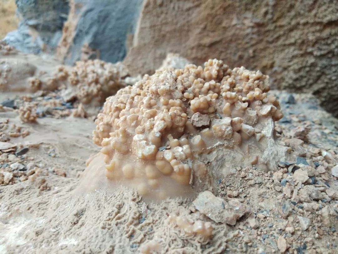 新时代文明实践亲子活动:捡化石,探洞赏钟乳石