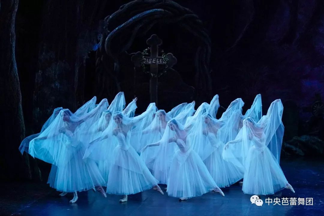 中央芭蕾舞团首席主演王启敏·舞台演艺20周年纪念演出，仙女真美!