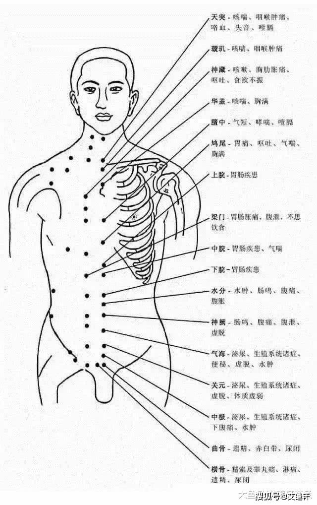 胸部腹部穴位图及作用功效承浆穴:治疗糖尿病,颜面病,牙痛,不语地仓