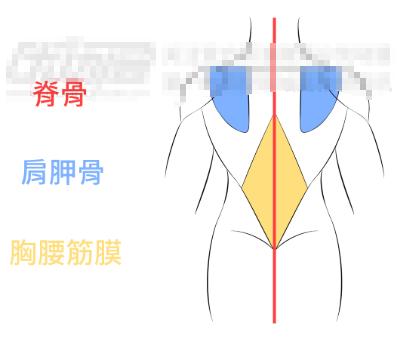 「推荐」人物背部的绘画奥秘!教你超简单掌握人物背部