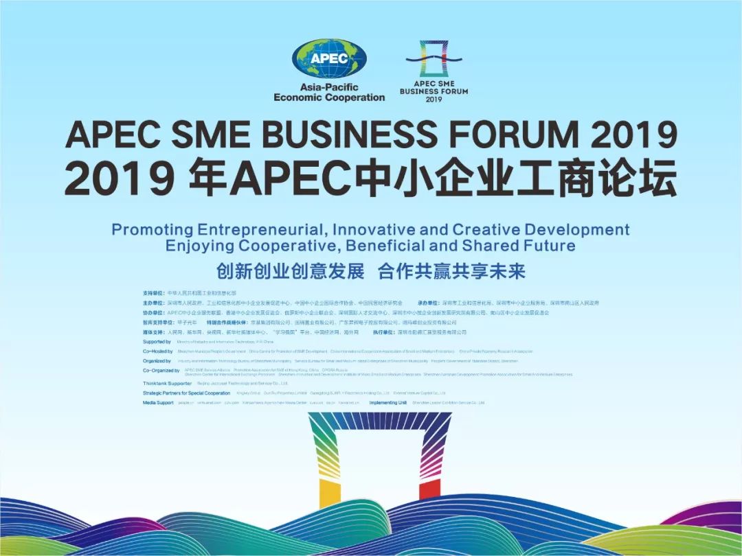 深圳gdp中国营与民营各多少_中国深圳gdp增长图(2)