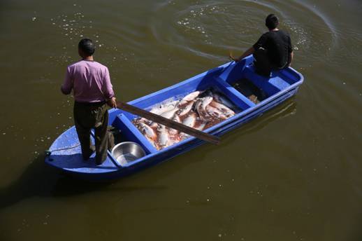 广东河源一高校从校内湖捕鱼2千多斤请师生免费吃！年底还请一次