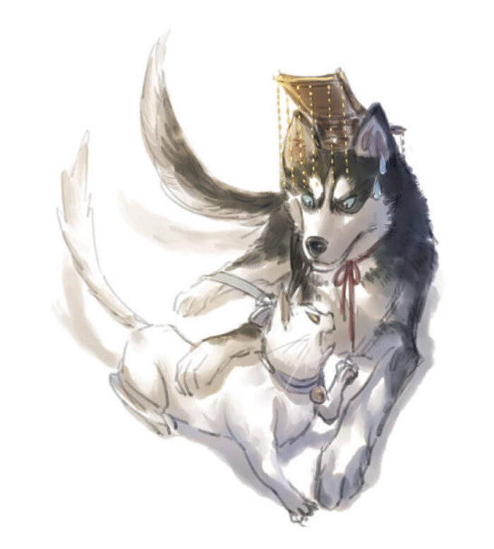二哈的白猫师尊钢琴曲谱_二哈和他的白猫师尊